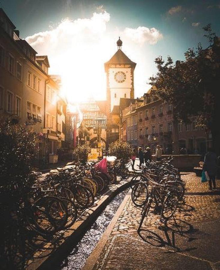 Studio Rome In Der Altstadt Apartamento Friburgo em Brisgóvia Exterior foto